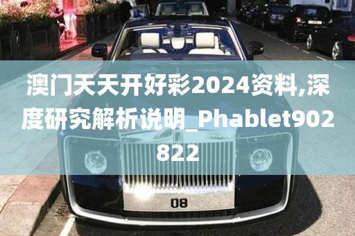 澳门天天开好彩2024资料,深度研究解析说明_Phablet902822