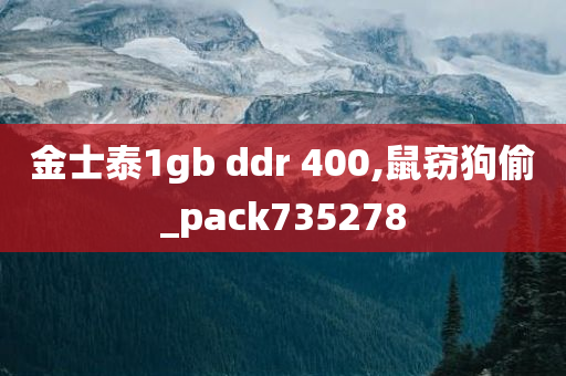 金士泰1gb ddr 400,鼠窃狗偷_pack735278