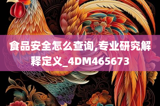 食品安全怎么查询,专业研究解释定义_4DM465673