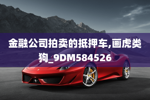 金融公司拍卖的抵押车,画虎类狗_9DM584526