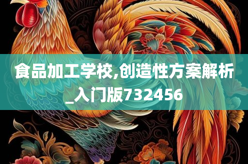 食品加工学校,创造性方案解析_入门版732456