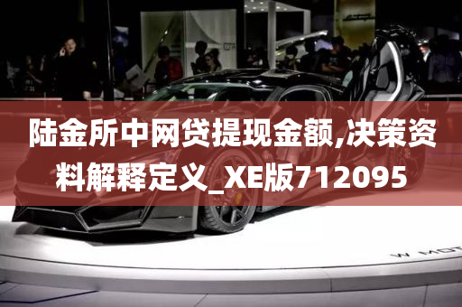 陆金所中网贷提现金额,决策资料解释定义_XE版712095