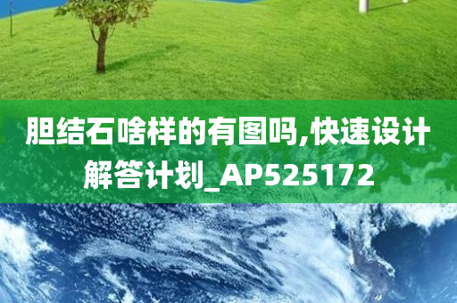 胆结石啥样的有图吗,快速设计解答计划_AP525172