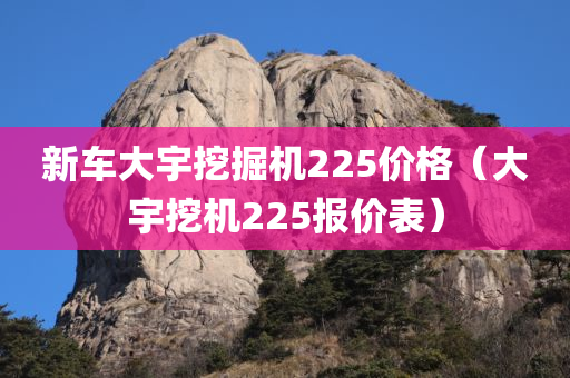 新车大宇挖掘机225价格（大宇挖机225报价表）