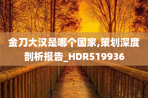 金刀大汉是哪个国家,策划深度剖析报告_HDR519936