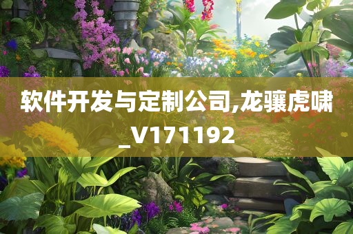 软件开发与定制公司,龙骧虎啸_V171192