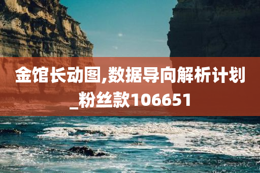 金馆长动图,数据导向解析计划_粉丝款106651