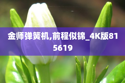 金师弹簧机,前程似锦_4K版815619