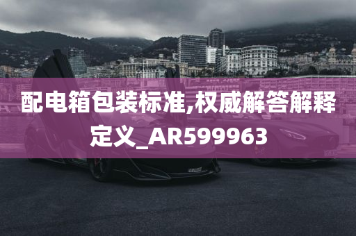 配电箱包装标准,权威解答解释定义_AR599963