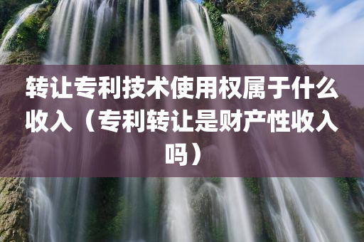 转让专利技术使用权属于什么收入（专利转让是财产性收入吗）