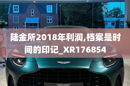 陆金所2018年利润,档案是时间的印记_XR176854