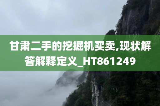 甘肃二手的挖掘机买卖,现状解答解释定义_HT861249