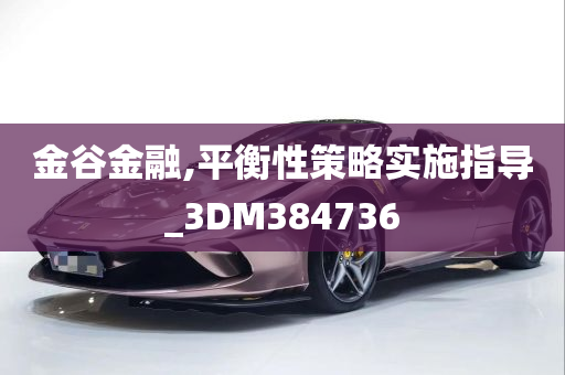 金谷金融,平衡性策略实施指导_3DM384736