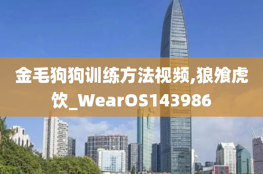 金毛狗狗训练方法视频,狼飧虎饮_WearOS143986