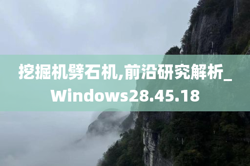 挖掘机劈石机,前沿研究解析_Windows28.45.18