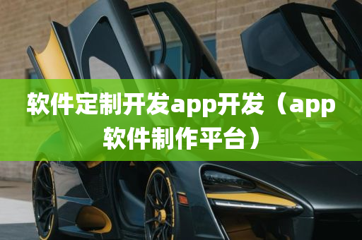 软件定制开发app开发（app软件制作平台）