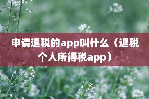 申请退税的app叫什么（退税个人所得税app）