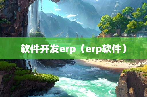 软件开发erp（erp软件）