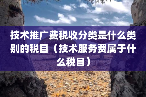 技术推广费税收分类是什么类别的税目（技术服务费属于什么税目）