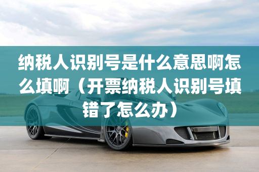 纳税人识别号是什么意思啊怎么填啊（开票纳税人识别号填错了怎么办）