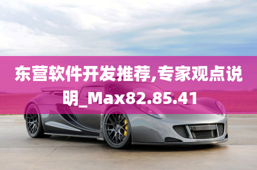 东营软件开发推荐,专家观点说明_Max82.85.41