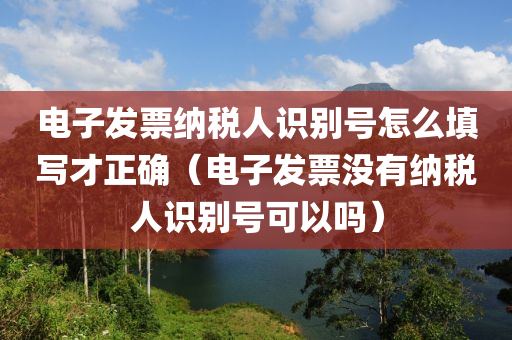 电子发票纳税人识别号怎么填写才正确（电子发票没有纳税人识别号可以吗）