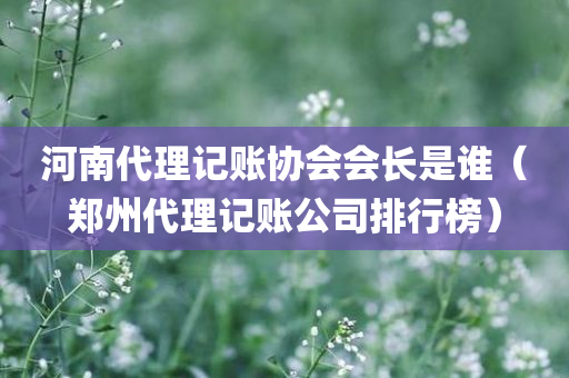 河南代理记账协会会长是谁（郑州代理记账公司排行榜）