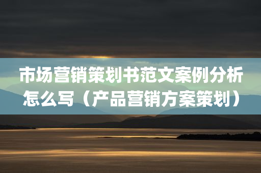 市场营销策划书范文案例分析怎么写（产品营销方案策划）