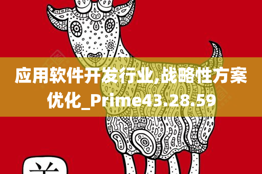 应用软件开发行业,战略性方案优化_Prime43.28.59