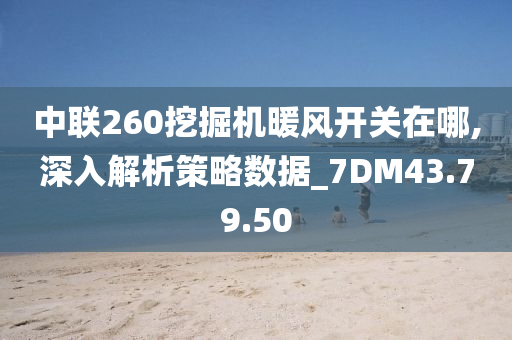 中联260挖掘机暖风开关在哪,深入解析策略数据_7DM43.79.50