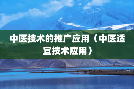 中医技术的推广应用（中医适宜技术应用）