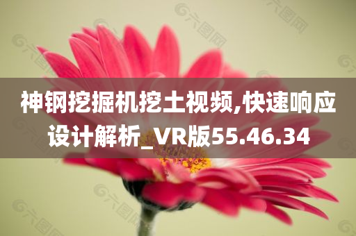 神钢挖掘机挖土视频,快速响应设计解析_VR版55.46.34