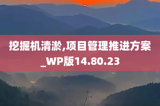 挖掘机清淤,项目管理推进方案_WP版14.80.23