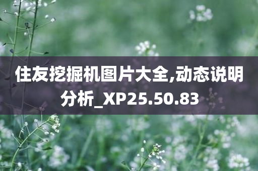 住友挖掘机图片大全,动态说明分析_XP25.50.83