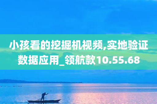 小孩看的挖掘机视频,实地验证数据应用_领航款10.55.68