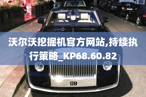 沃尔沃挖掘机官方网站,持续执行策略_KP68.60.82