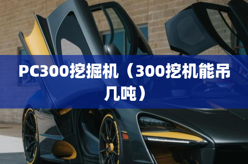 PC300挖掘机（300挖机能吊几吨）