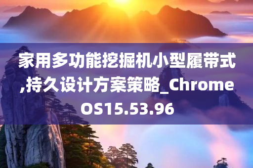 家用多功能挖掘机小型履带式,持久设计方案策略_ChromeOS15.53.96