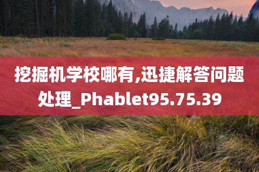 挖掘机学校哪有,迅捷解答问题处理_Phablet95.75.39