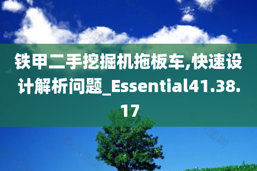 铁甲二手挖掘机拖板车,快速设计解析问题_Essential41.38.17