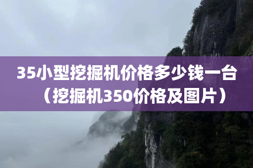 35小型挖掘机价格多少钱一台（挖掘机350价格及图片）