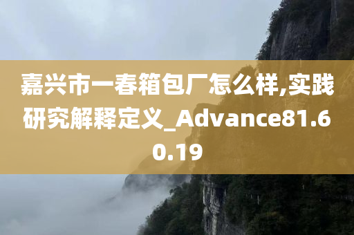 嘉兴市一春箱包厂怎么样,实践研究解释定义_Advance81.60.19