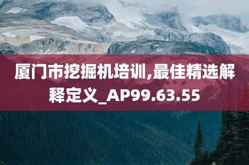 厦门市挖掘机培训,最佳精选解释定义_AP99.63.55