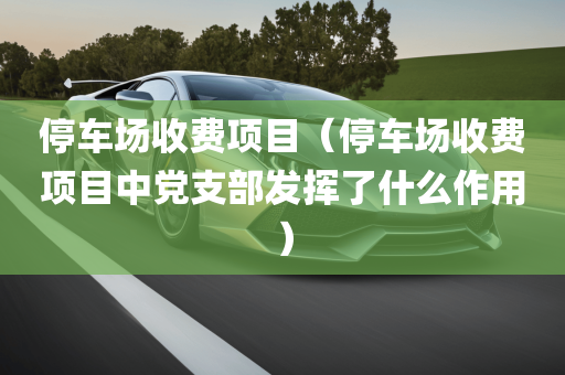 停车场收费项目（停车场收费项目中党支部发挥了什么作用）