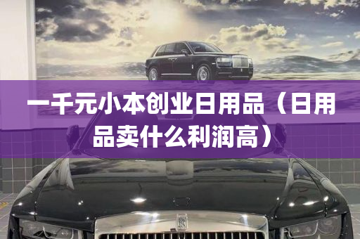 一千元小本创业日用品（日用品卖什么利润高）