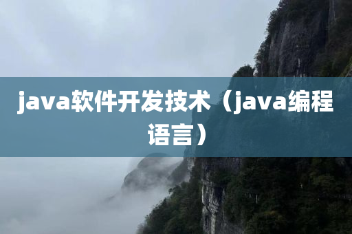 java软件开发技术（java编程语言）