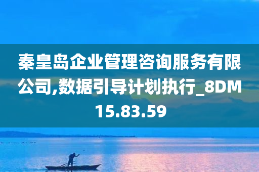 秦皇岛企业管理咨询服务有限公司,数据引导计划执行_8DM15.83.59