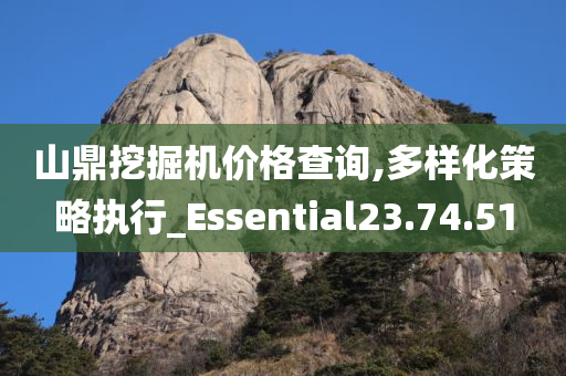 山鼎挖掘机价格查询,多样化策略执行_Essential23.74.51