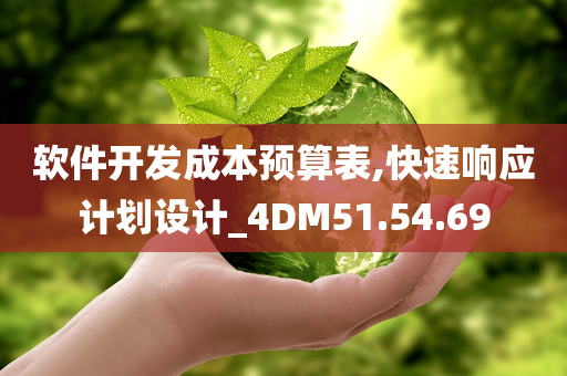 软件开发成本预算表,快速响应计划设计_4DM51.54.69