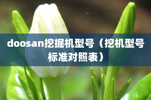 doosan挖掘机型号（挖机型号标准对照表）